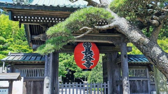 Hase Dera Temple Photos Photos Of Kamakura Attractions Trip Moments