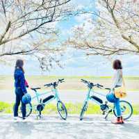 茨城県 サイクリストにおすすめ