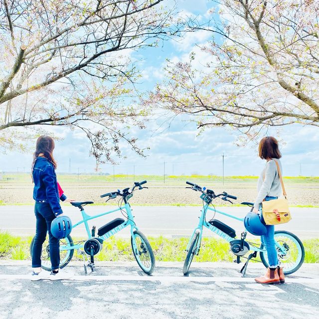 茨城県 サイクリストにおすすめ