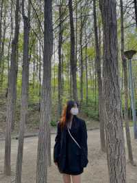 데이트하기 좋은 '서울숲'