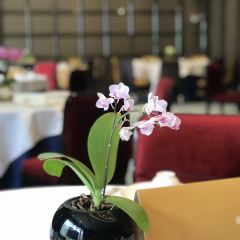 6号公馆(常德路店) ảnh của người dùng