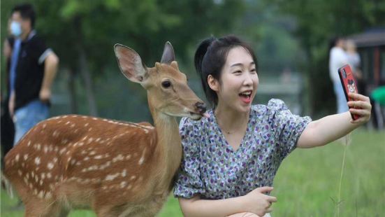 Changsheng Deer Park