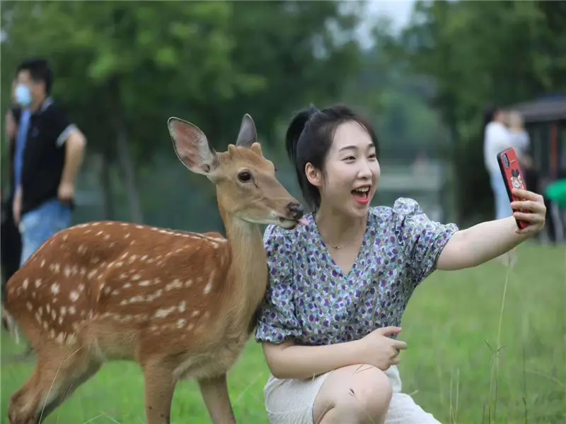 Changsheng Deer Park