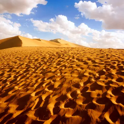 Отзывы об отеле Shanhai International Hotel