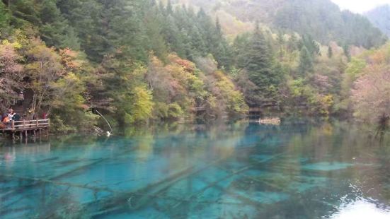 这里是九寨沟内的核心景观区之一，位于大景区中部，交通便利，它