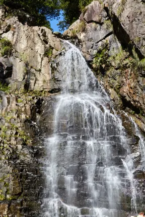 Отзывы об отеле CEO Mingdu Hotel