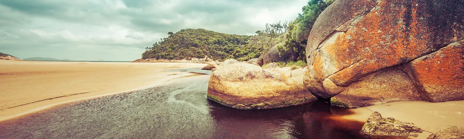 윌선스 프로몬토리보트/세일링