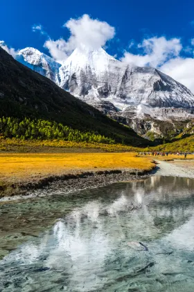 Tibet Airlines Flights to Daocheng