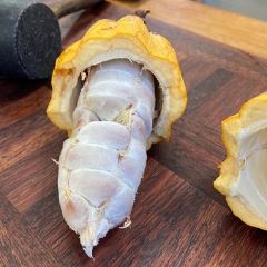 Sacred Grounds Coffee Farm User Photo