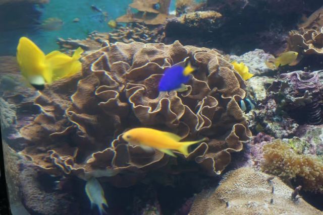 墾丁国家公園attractions 屏東travel Review Travel Guide Trip Com