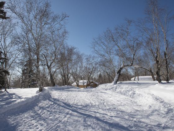 Mont Royal