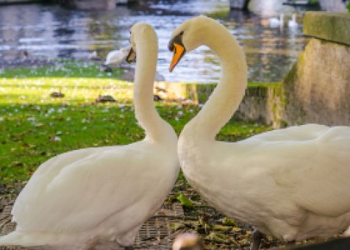 Hôtels à proximité de Les Hortillonnages d'Amiens