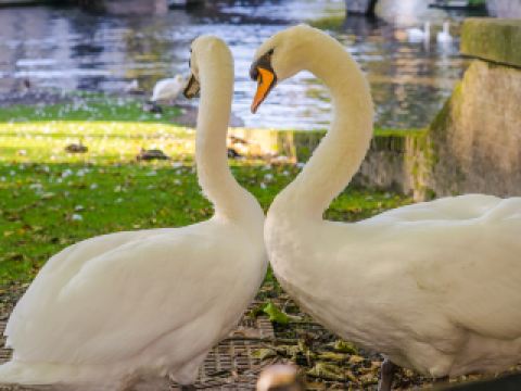 Hôtels à proximité de Zénith d'Amiens