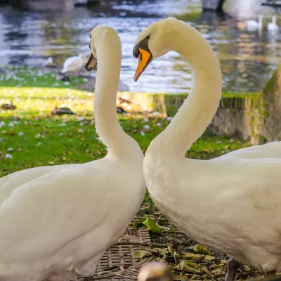 Отели рядом с достопримечательностью «Амьенский собор»