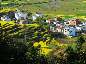 Rape Flower Observation Deck