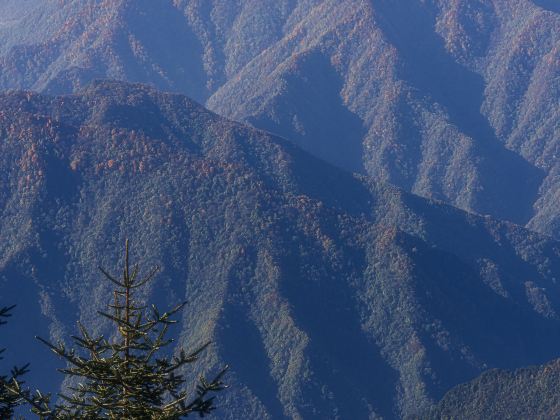 Longtou Mountain Scenic Spot