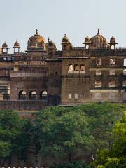 Orchha Fort and contact for cycling as well