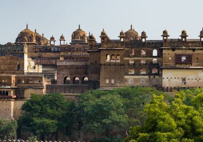 Orchha Fort and contact for cycling as well