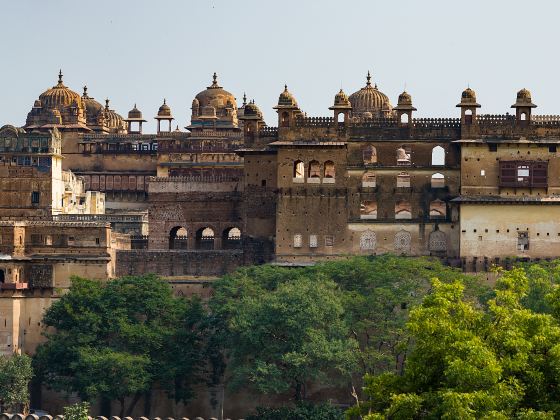 Orchha Fort and contact for cycling as well