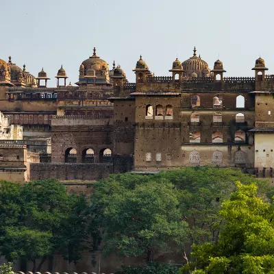 鄰近जटायु पक्षी विहार, नमो औषधीय उपवन的酒店