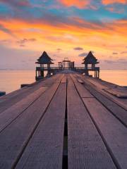 Clevedon Pier and Heritage Centre