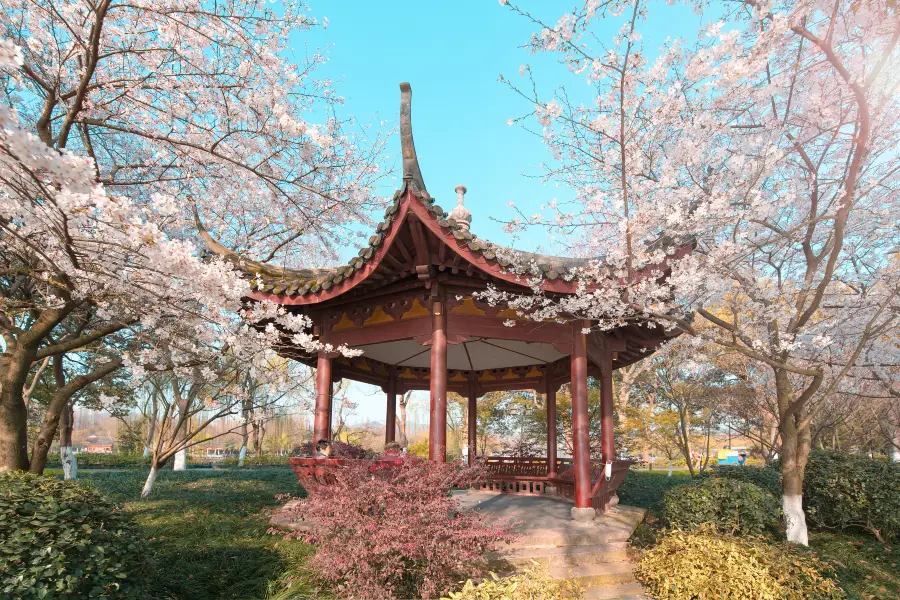 城市中央公園