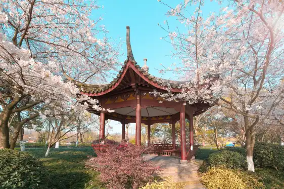 Hotels near Chengshizhongyang Park