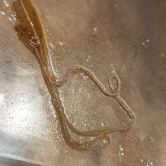 朝周烩菜(人民公园店) User Photo