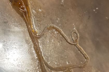 朝周烩菜(人民公园店)