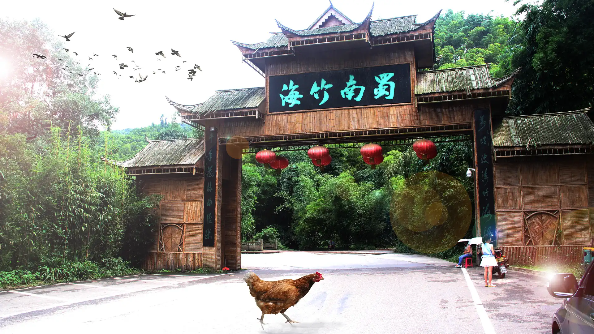 Hotels near Shunan Zhuhai Museum