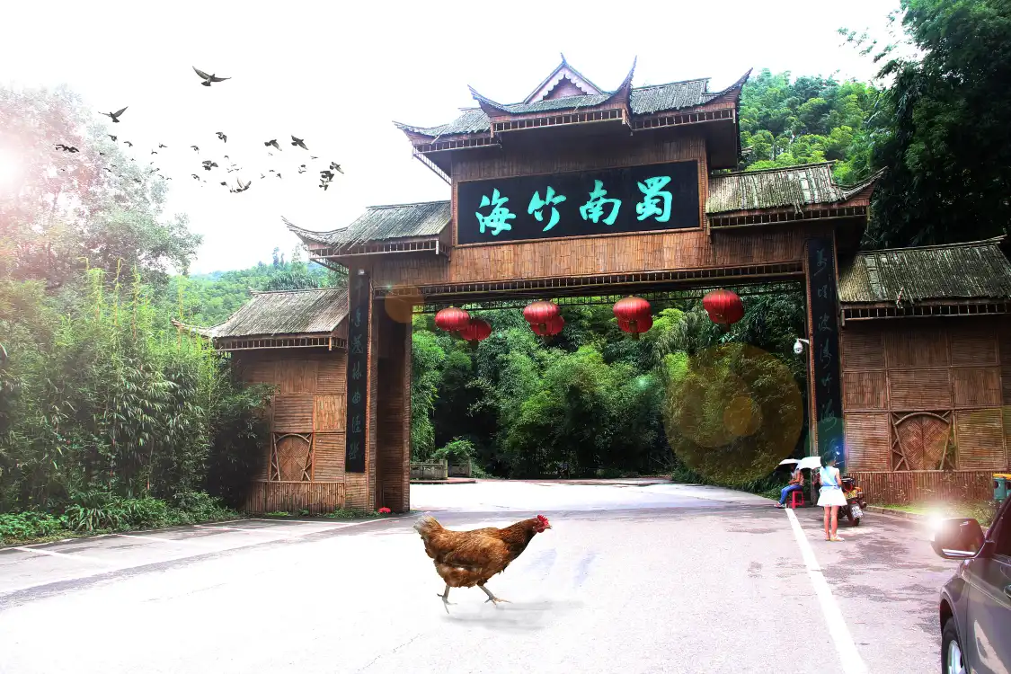 Hotels near Shunan Zhuhai Museum