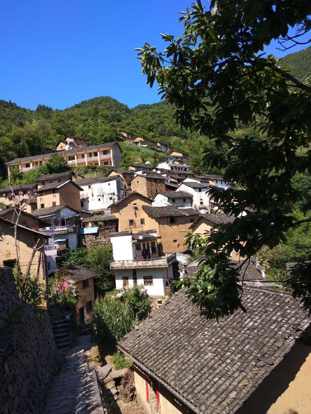 陽產土樓