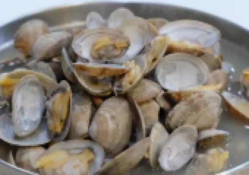 【2026摸蜆攻略】摸蜆季節、3大摸蜆地點推薦!(附摸蜆教學和工具)