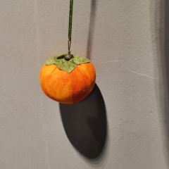 Tiny coffee·草芥咖啡 User Photo