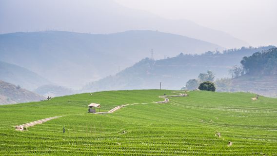 Gasa Town