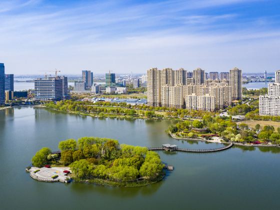 芦墟大渠蕩生態公園