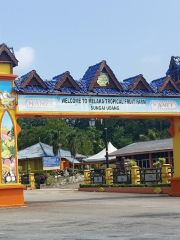Melaka Tropical Fruit Farm