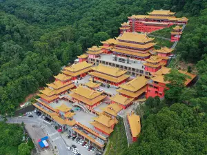大嶺山森林公園