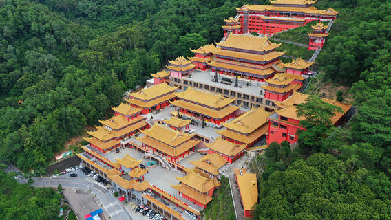 Дайчжоу Шань Лесный парк