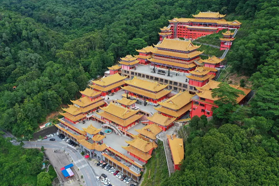 大嶺山森林公園