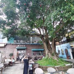 麦菲尔 User Photo