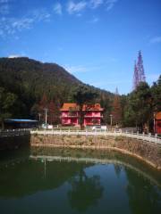 雲陽國家森林公園