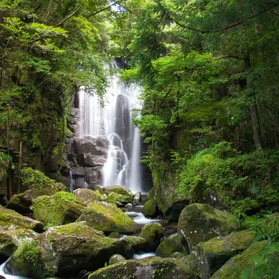 Shirahama Onsen Kisyu Hanto