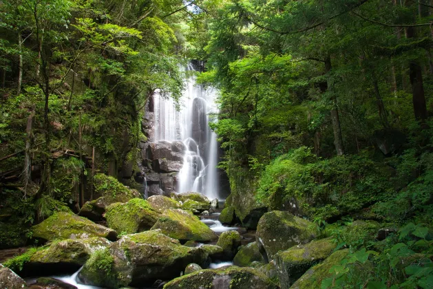 Shirahama Onsen Kisyu Hanto