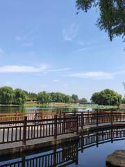 Jilonghe Chengshi Wetland Park