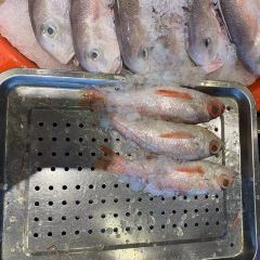 石塘人家(温岭店) User Photo