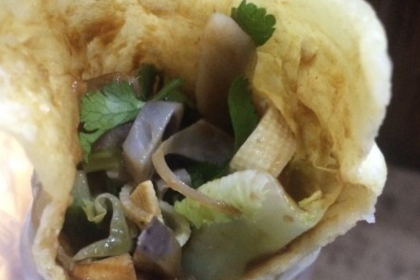 QI ZHI WEI LU ROU JUAN