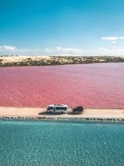 Lake Macdonnell