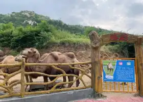 滕州市野生動物園