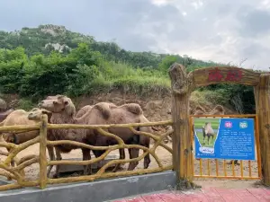 Tengzhou Wildlife Park